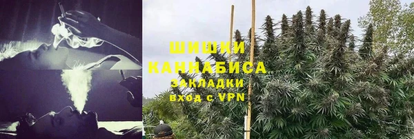 крисы Инта